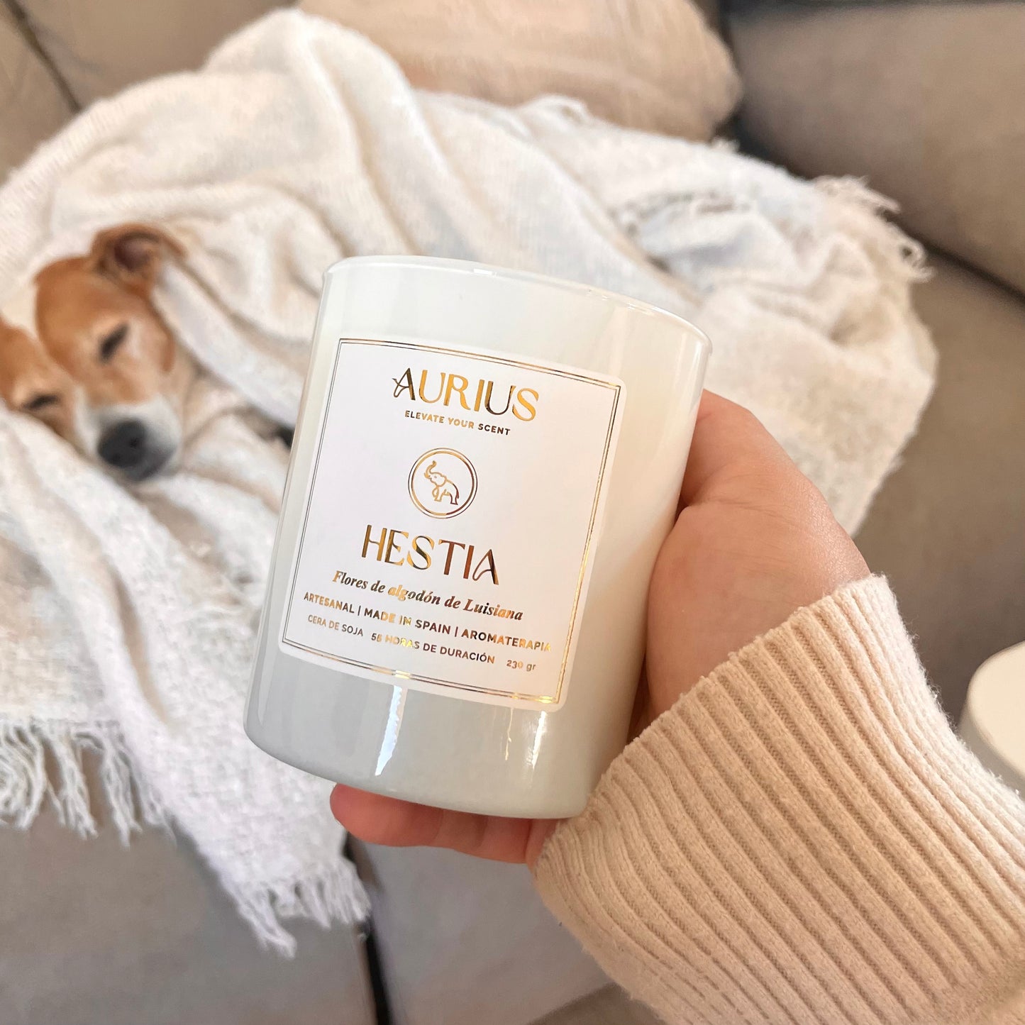 VELA HESTIA | Armonía & Tranquilidad