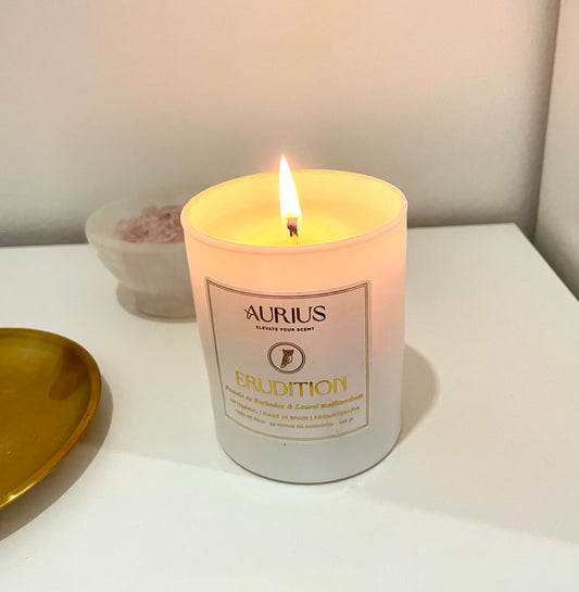 VELA ERUDITION | Concentración & Claridad Mental