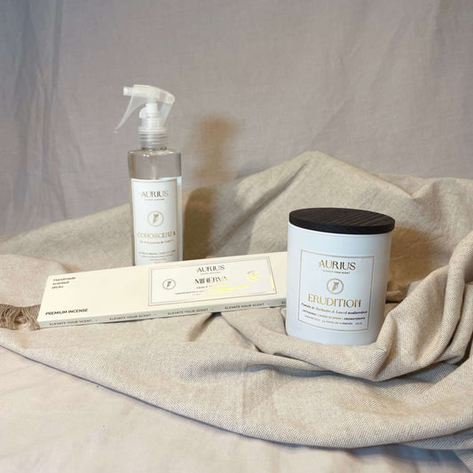 SET CONCENTRACIÓN & ENFOQUE | Potencia tu productividad