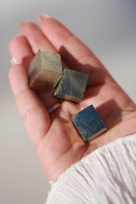 🩶 RODADO🩶 (PIRITA) DINERO