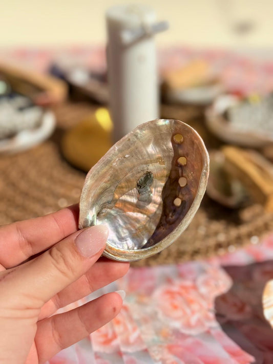 CONCHA DE ABALÓN - Quemador de Sahumerios y Velas