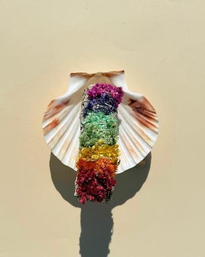 CONCHA DE AFRODITA - Quemador de Sahumerios y Velas