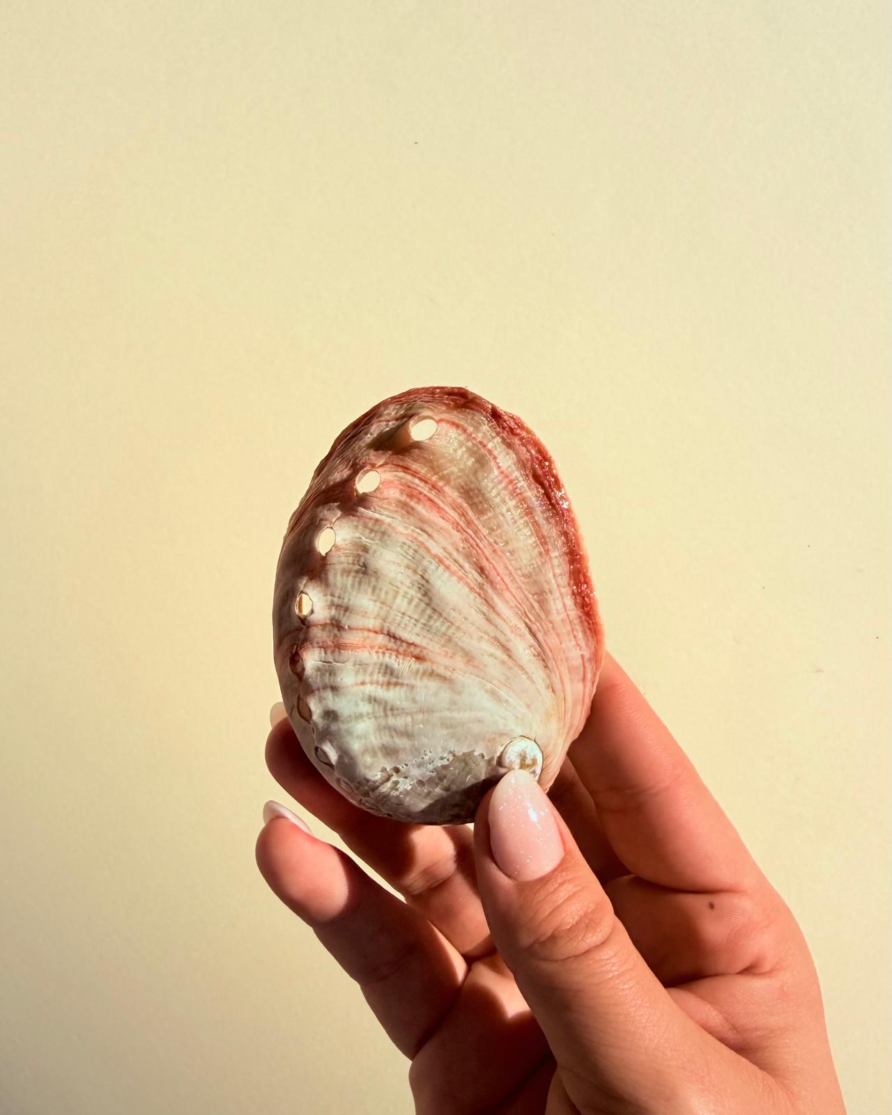 RITUAL DE LIMPIEZA ENERGÉTICA