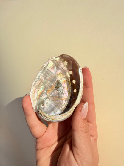 CONCHA DE ABALÓN - Quemador de Sahumerios y Velas