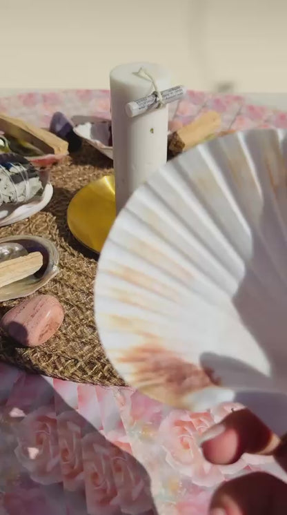 CONCHA DE AFRODITA - Quemador de Sahumerios y Velas